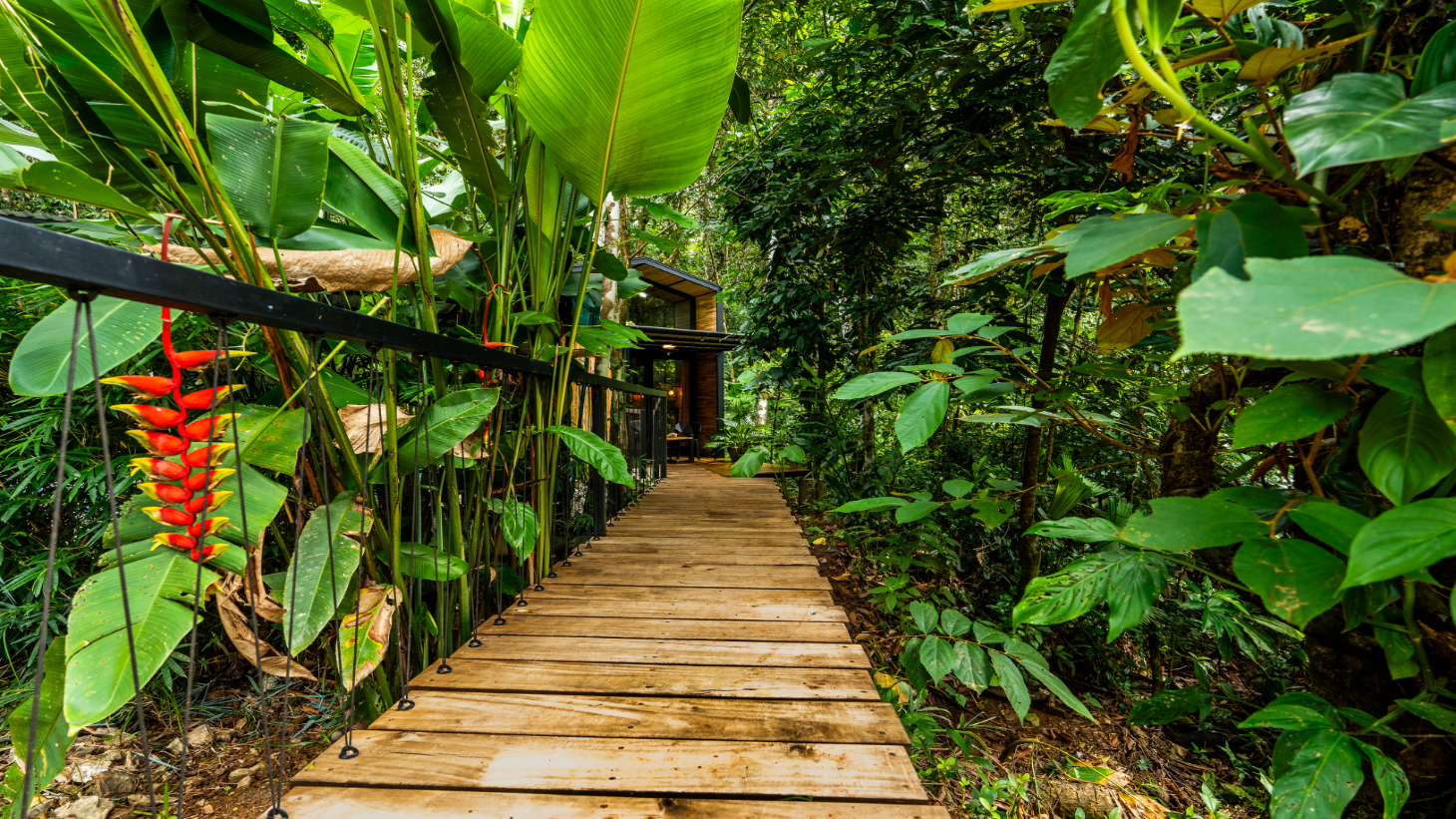 Turn-Key Luxury Boutique Jungle Bungalows + Build-Ready Expansion site – Profitable Airbnb in Ojochal selected