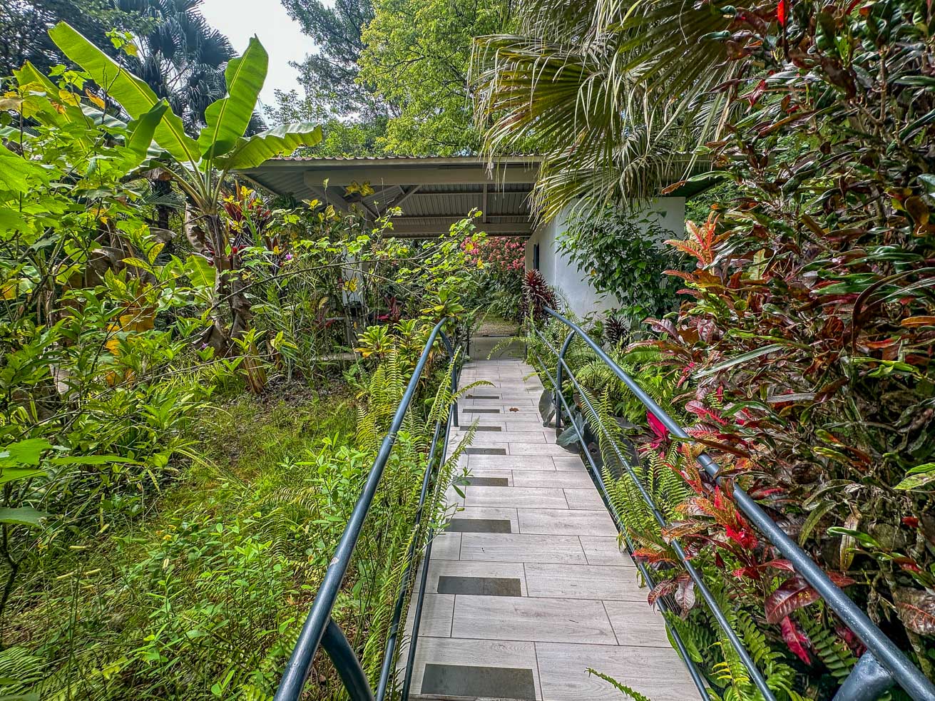 Jungle Sanctuary with Income-Generating Casitas, Creek, Pool & Ultimate Privacy in Ojochal selected