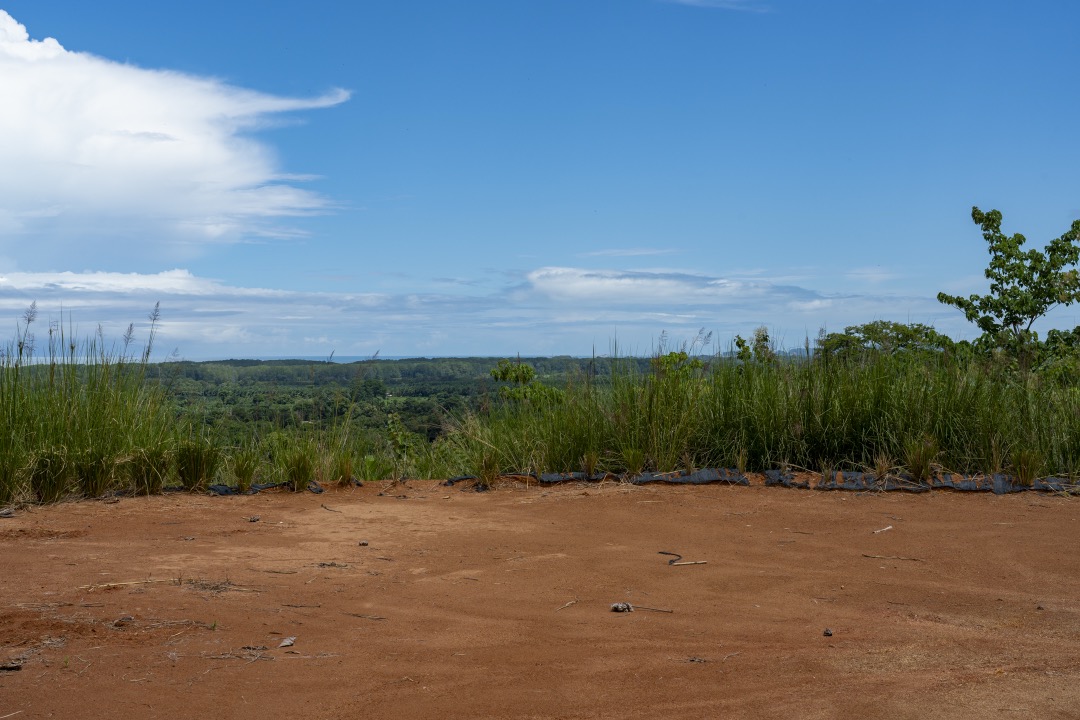 Tulpa Ridge – New Gated Ocean View Community in Matapalo selected