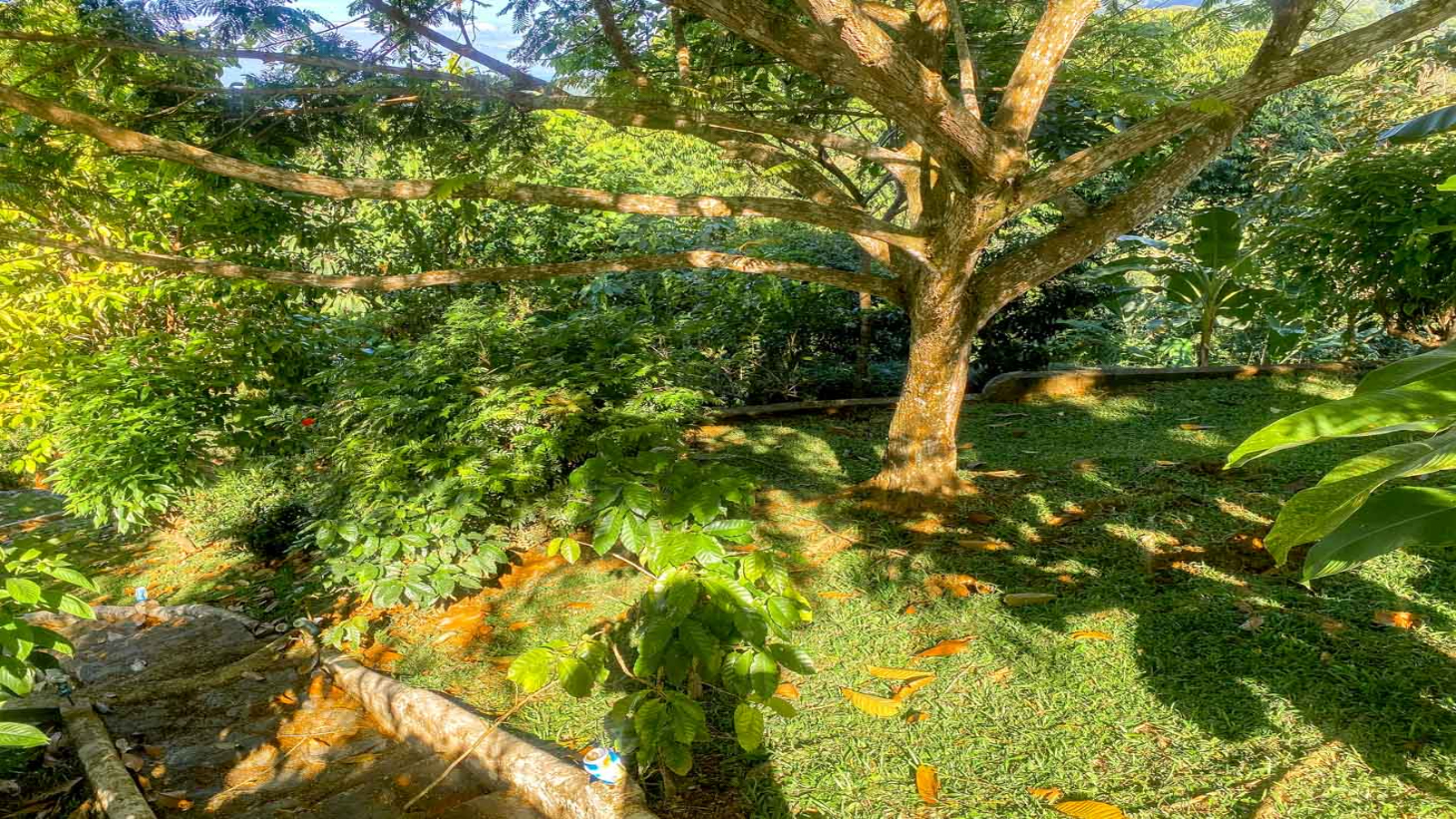 Ocean,Jungle & Mountain View Home in Ojochal | Protected Jungle Setting selected