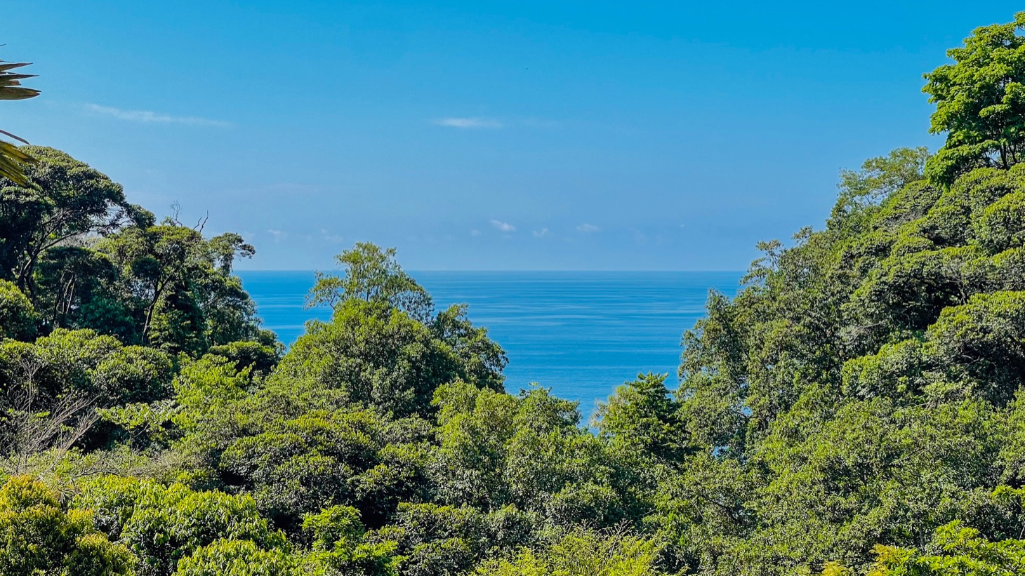 Offered as a Package Deal | 26-Room Hotel + 2BR House | $2.3M selected