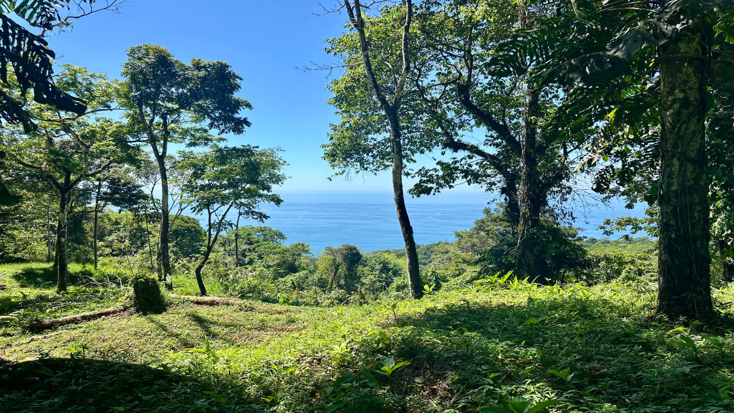 Exclusive 5.80 acres Ocean View Estate Lot in Costa Verde Estates – Escaleras selected
