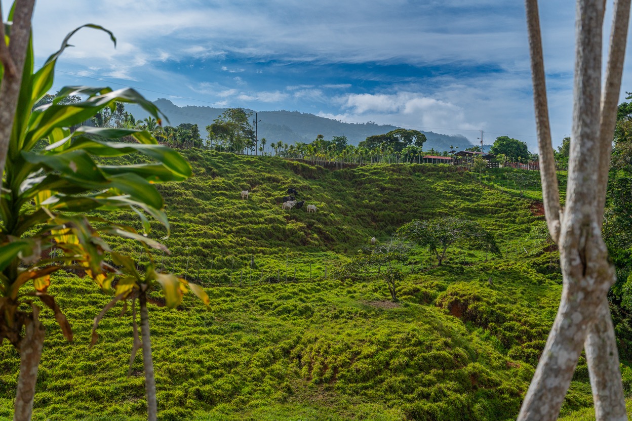 Ocean View Development Property with Waterfall Vista — 14.83 Acres in San Luis de Morete, Near Uvita selected