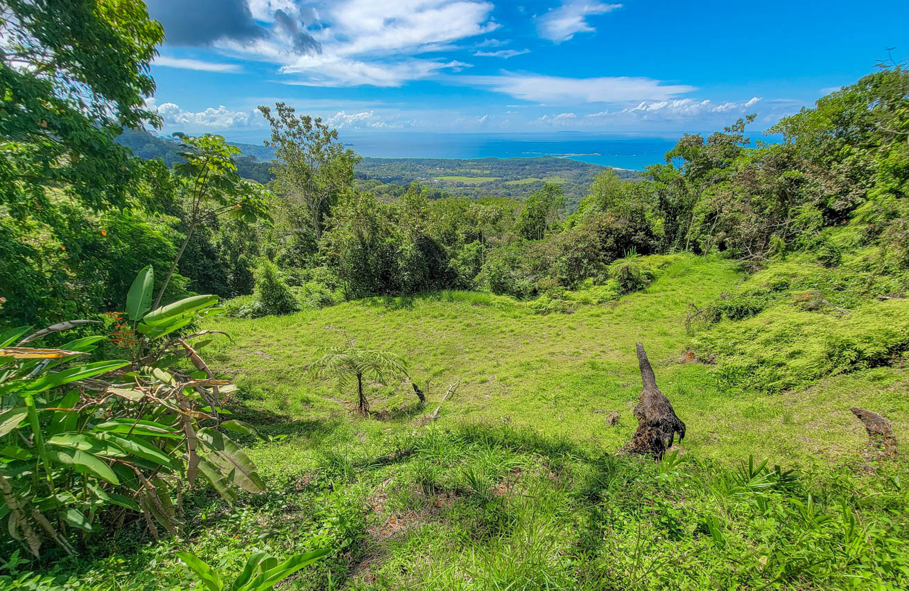 Large Uvita Lot with Whale’s Tail Ocean Views, Sunsets & Legal Water – Ready to Build selected