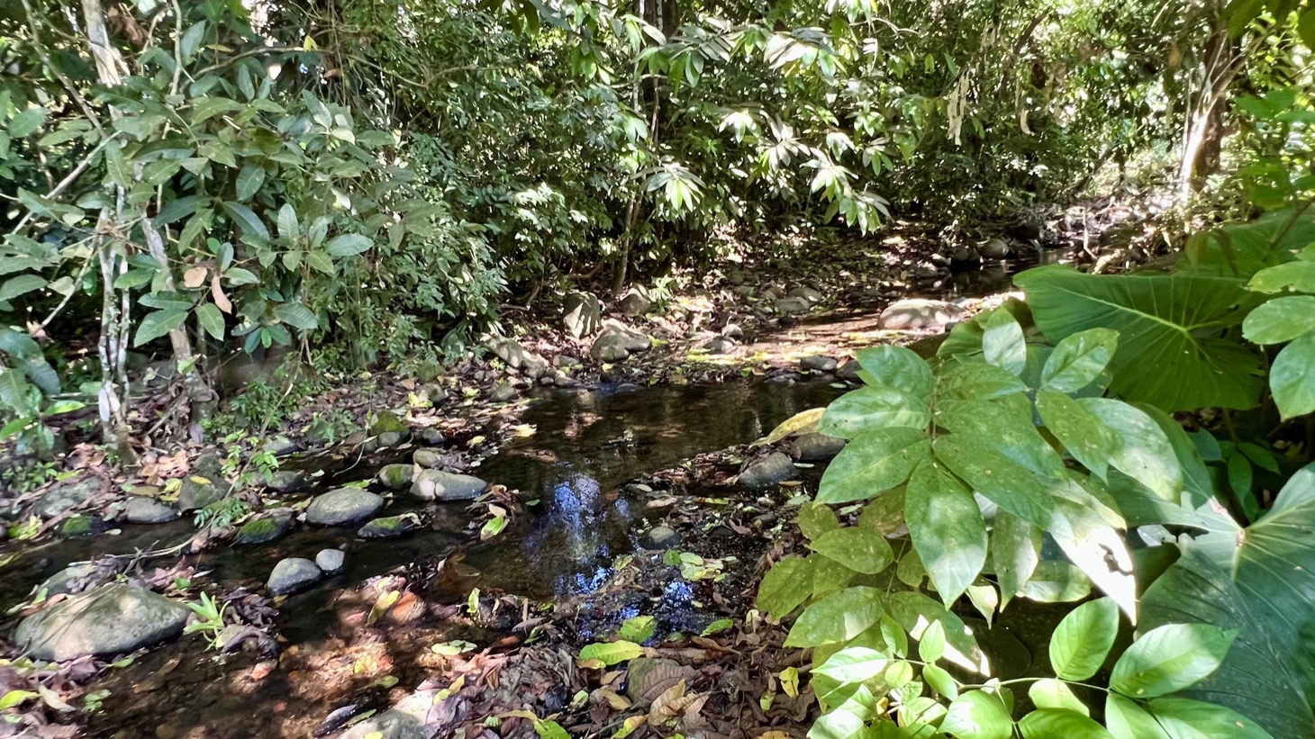 Tropical 2-Bedroom Riverfront Gem in Ojochal selected