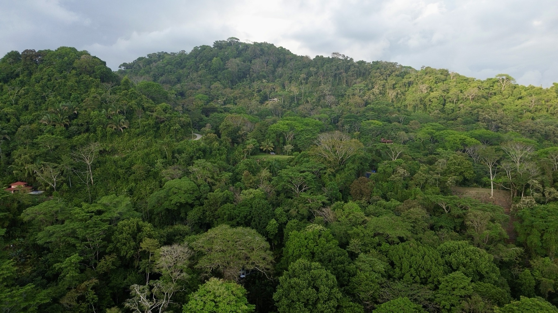 3.57-Acre Ocean View Estate Parcel with Creek & Sunset Exposure Near Dominical selected
