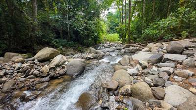 Riverfront Property for Sale in Ojochal, Costa Rica – Nearly 1 Hectare of Flat, Buildable Land image 5