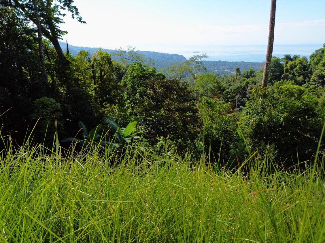 Build-Ready Ocean View Homesite Above Uvita – Iconic Ballena Rock Views & Prime Hillside Setting selected