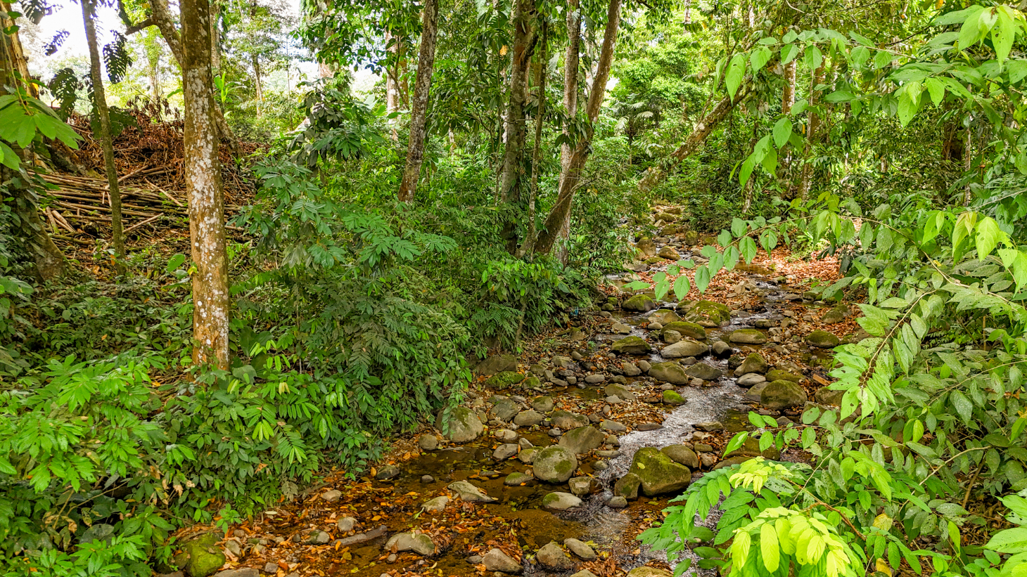 3-Bed Home on Calle Principal Ojochal with River & Jungle selected