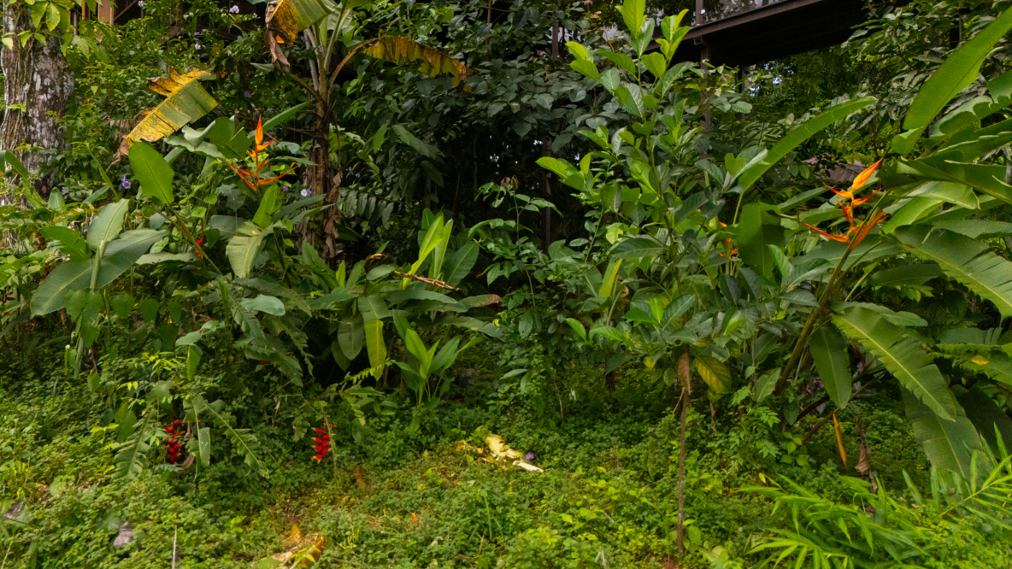 Where the Journey Begins | Private Jungle Estate at Nauyaca Waterfalls selected