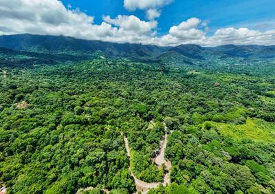 Riverfront Property with 3.26 Acres of Nature, Convenience, and Development Potential image 3