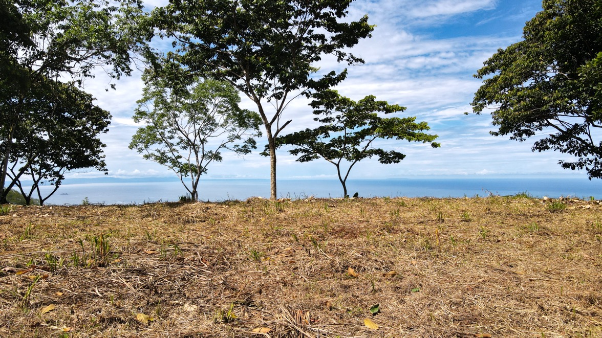 Whale's Tail and Ocean View lot for Sale in Costa Verde, Escaleras, Costa Rica selected