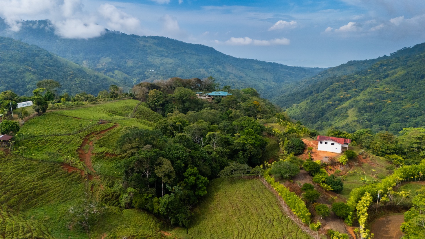 Ocean View Development Property with Waterfall Vista — 14.83 Acres in San Luis de Morete, Near Uvita selected