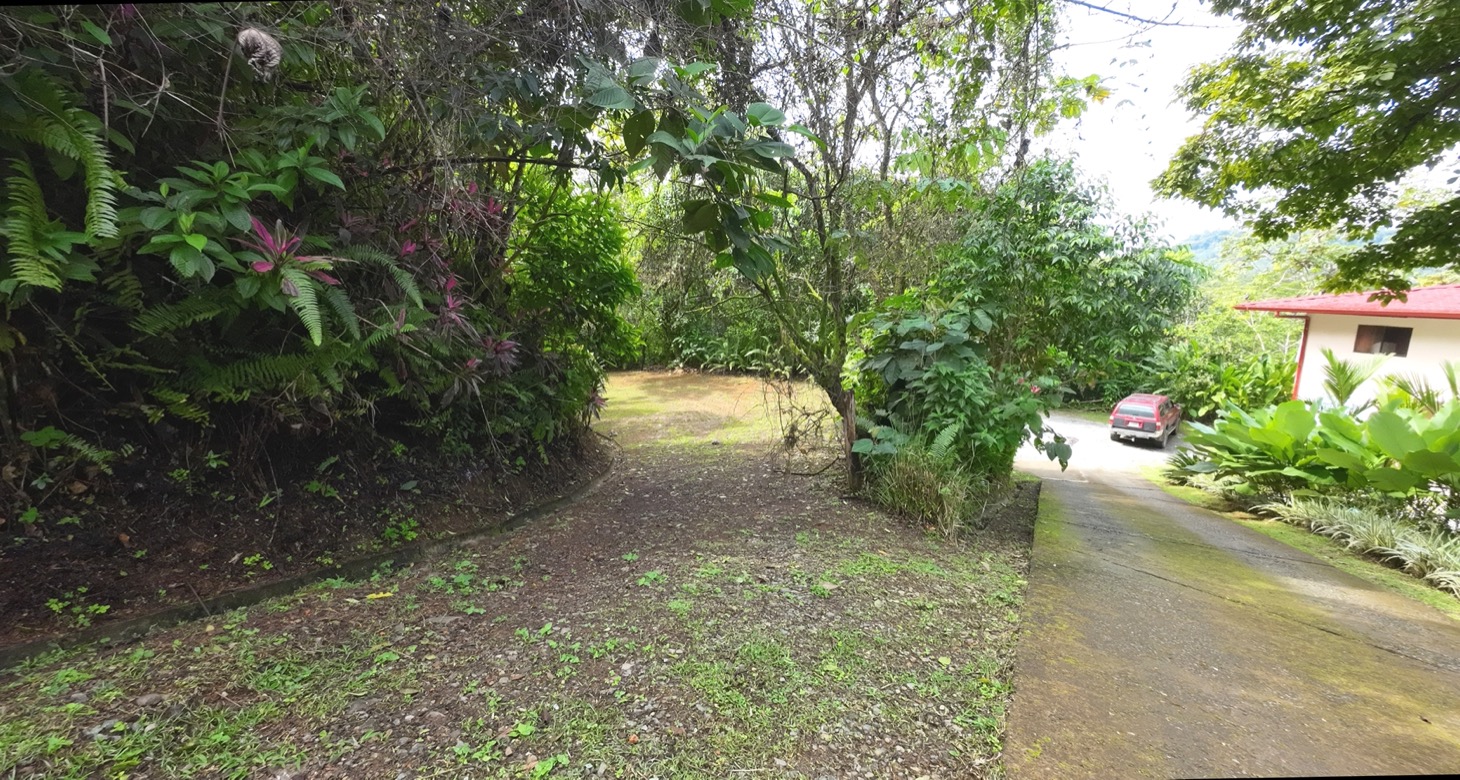 Valley of Dreams - A Beautiful Multi-Use Property Near Cacao Ridge, 10.85 Acres at a Phenomenal Price! selected