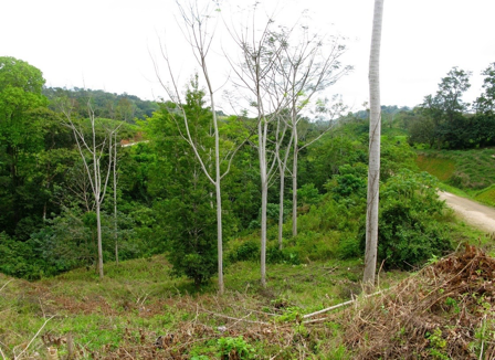 Exclusive Two-Lot Oasis in Gated Paradise – Build Your Dream Estate selected