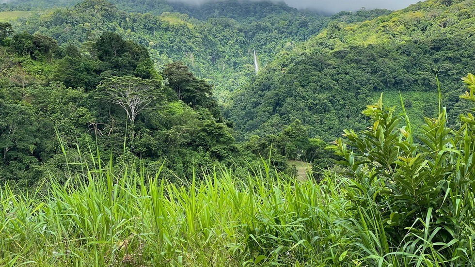 145 Acres With Swimming Holes, Waterfalls And Ocean Views selected