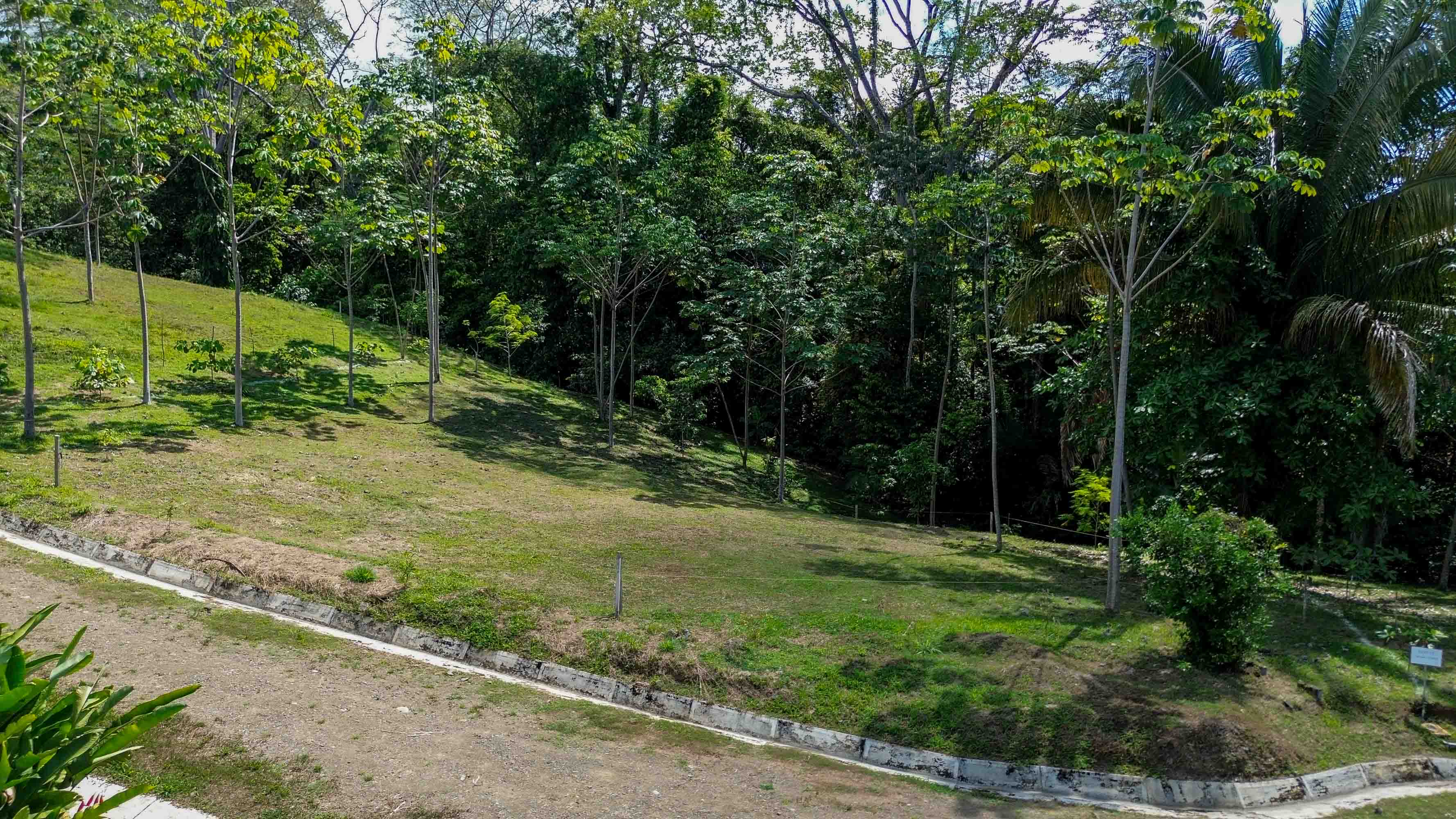 18-Acre Ocean View Development Parcel in Playa Hermosa selected