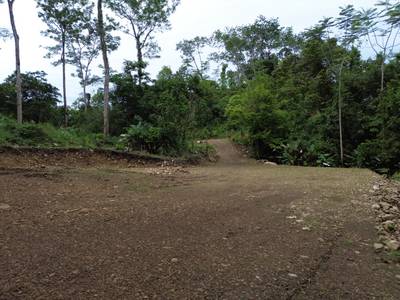 Exceptional Lot Offering Peace and Privacy in Ojochal image 3