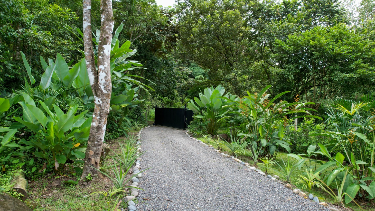 Contemporary Jungle Retreat in Tres Rios, Costa Rica selected
