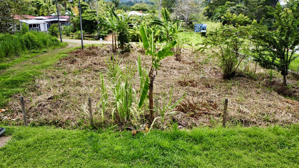 0.2 Acres With Premium Location in Ojochal selected