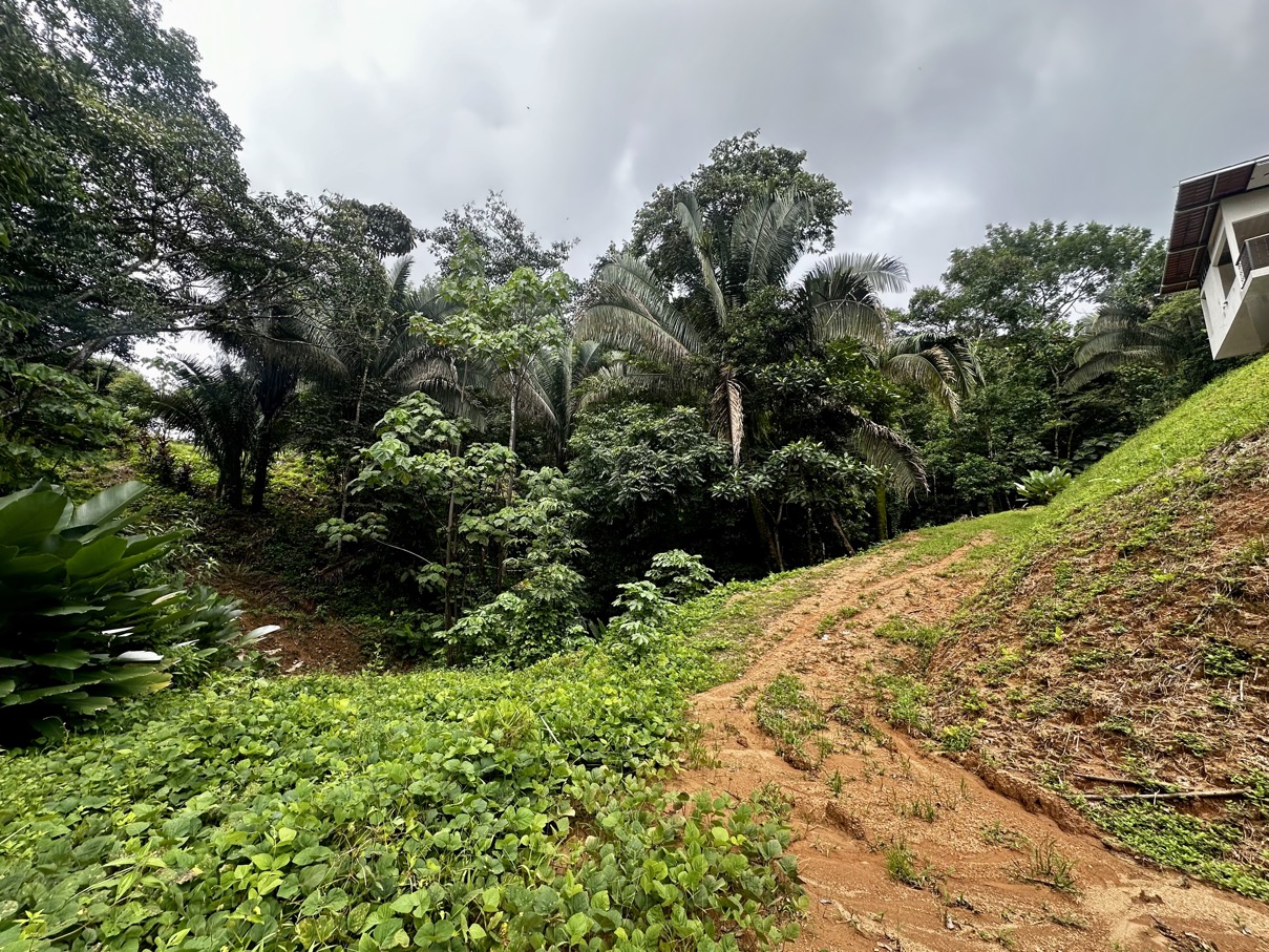 Fixer-Upper with Stream, Forest Views, and Investment Potential in Playa Hermosa selected