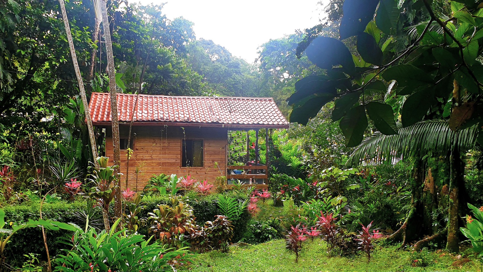 Income Producing Jungle Retreat with 8 Cabinas and Pool in the Heart of Uvita selected