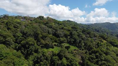 Exclusive 5.80 acres Ocean View Estate Lot in Costa Verde Estates – Escaleras image 5