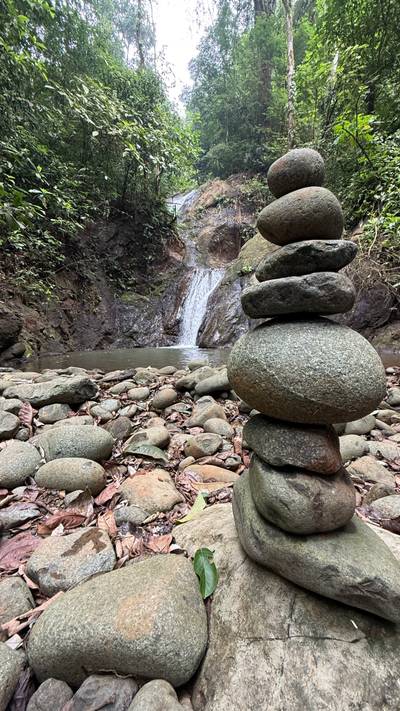 A Living Jungle Sanctuary on the River — 86 Hectares in Sabalo, Costa Rica image 2