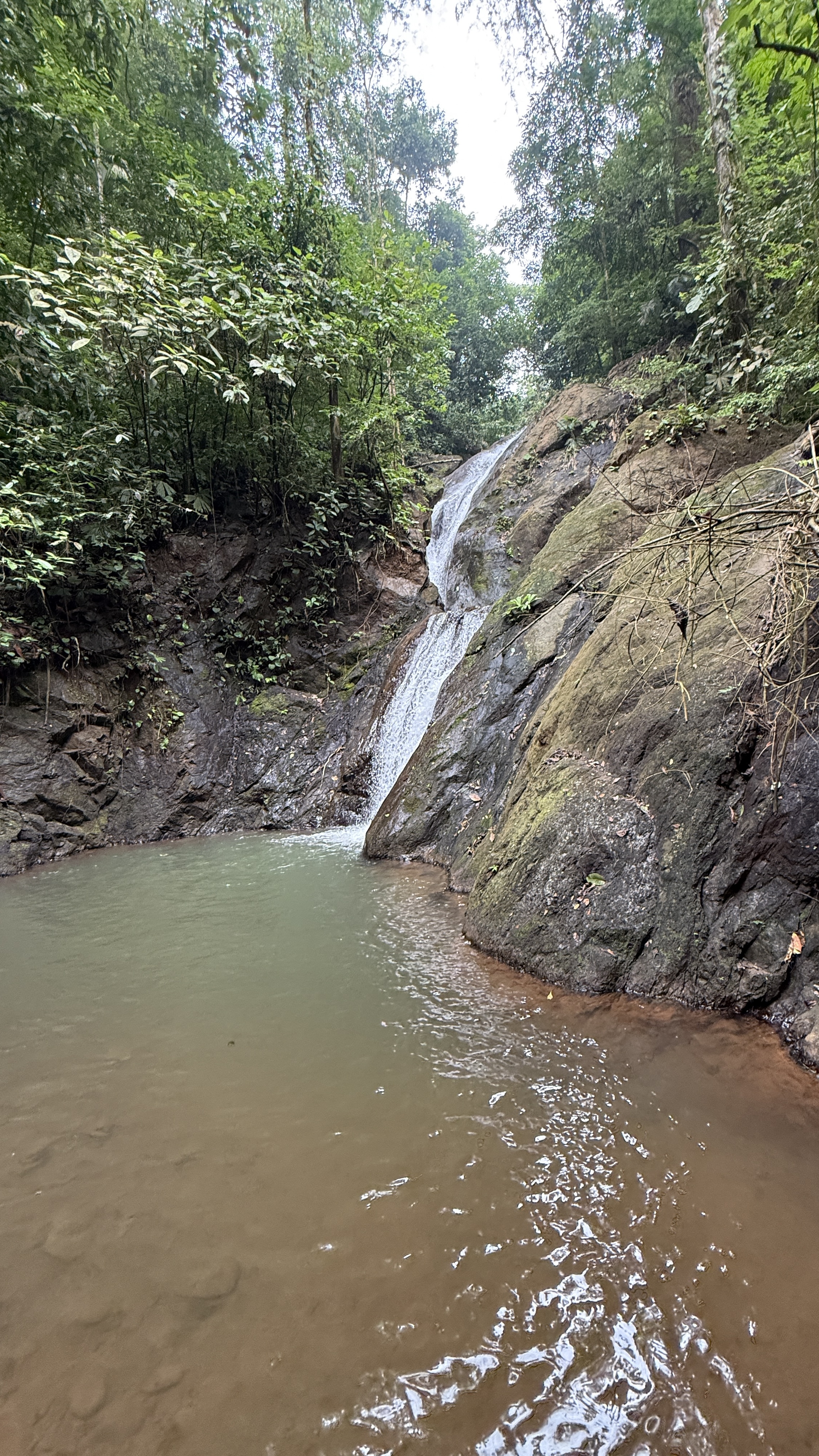 A Living Jungle Sanctuary on the River — 86 Hectares in Sabalo, Costa Rica selected