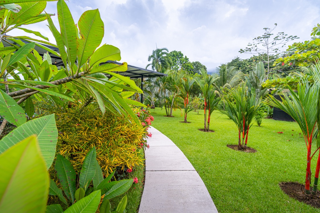 Exceptional Modern 4-Bedroom Family Sanctuary on 1 Acre in Ojochal selected