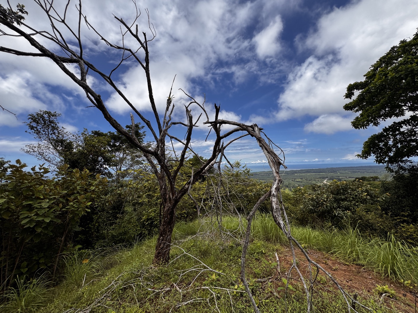 Expansive Ocean View Farm Near Playa Linda – Prime Development Opportunity with Year-Round Sunsets selected