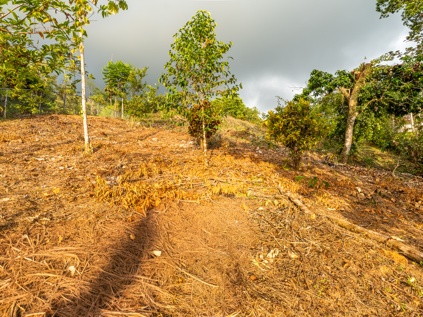 Ocean & Sunset View Lot for Sale in Ojochal, Costa Rica selected
