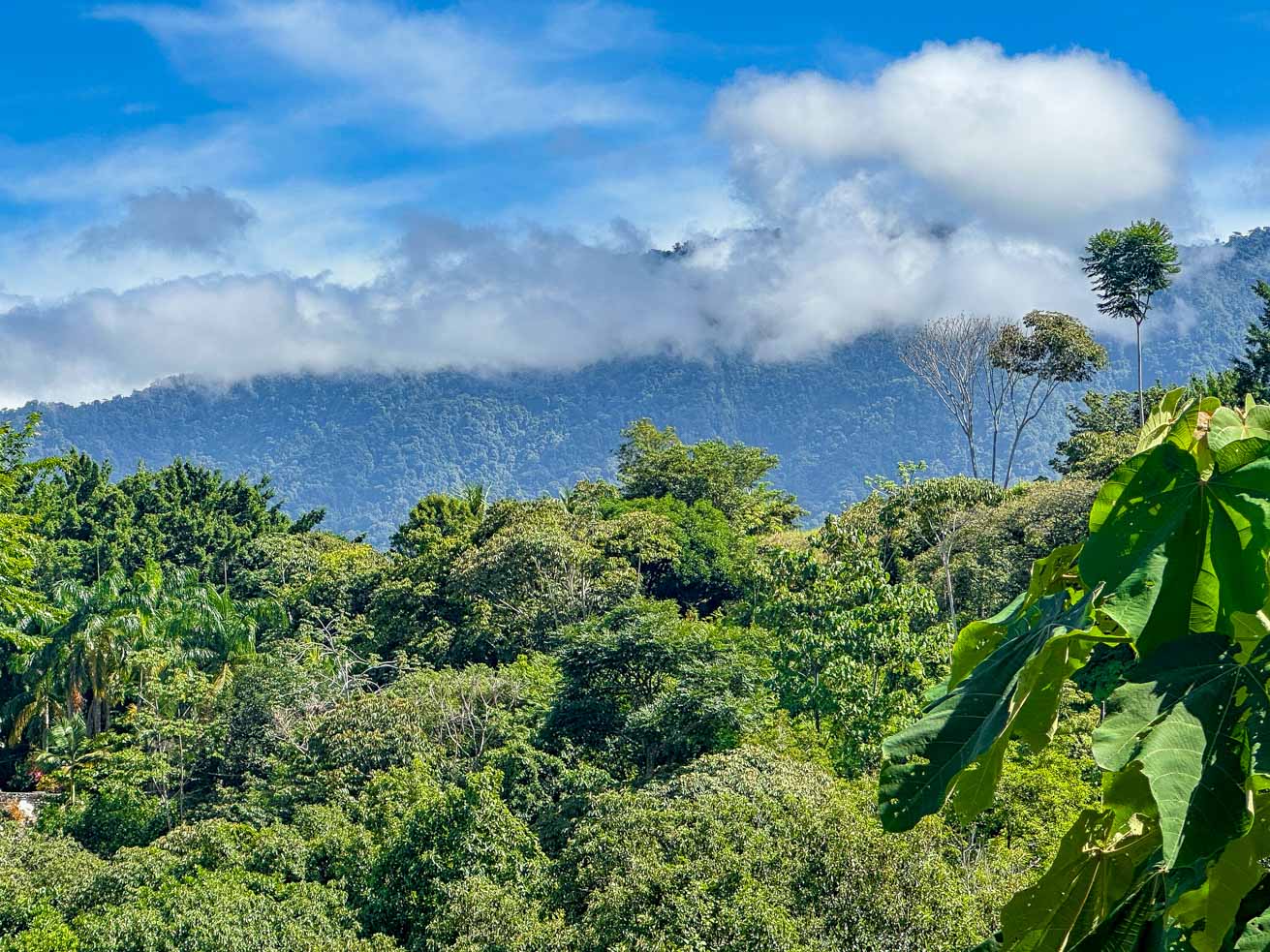 Ocean and Mountain View Retreat with Private River and Expansion Potential in Ojochal selected