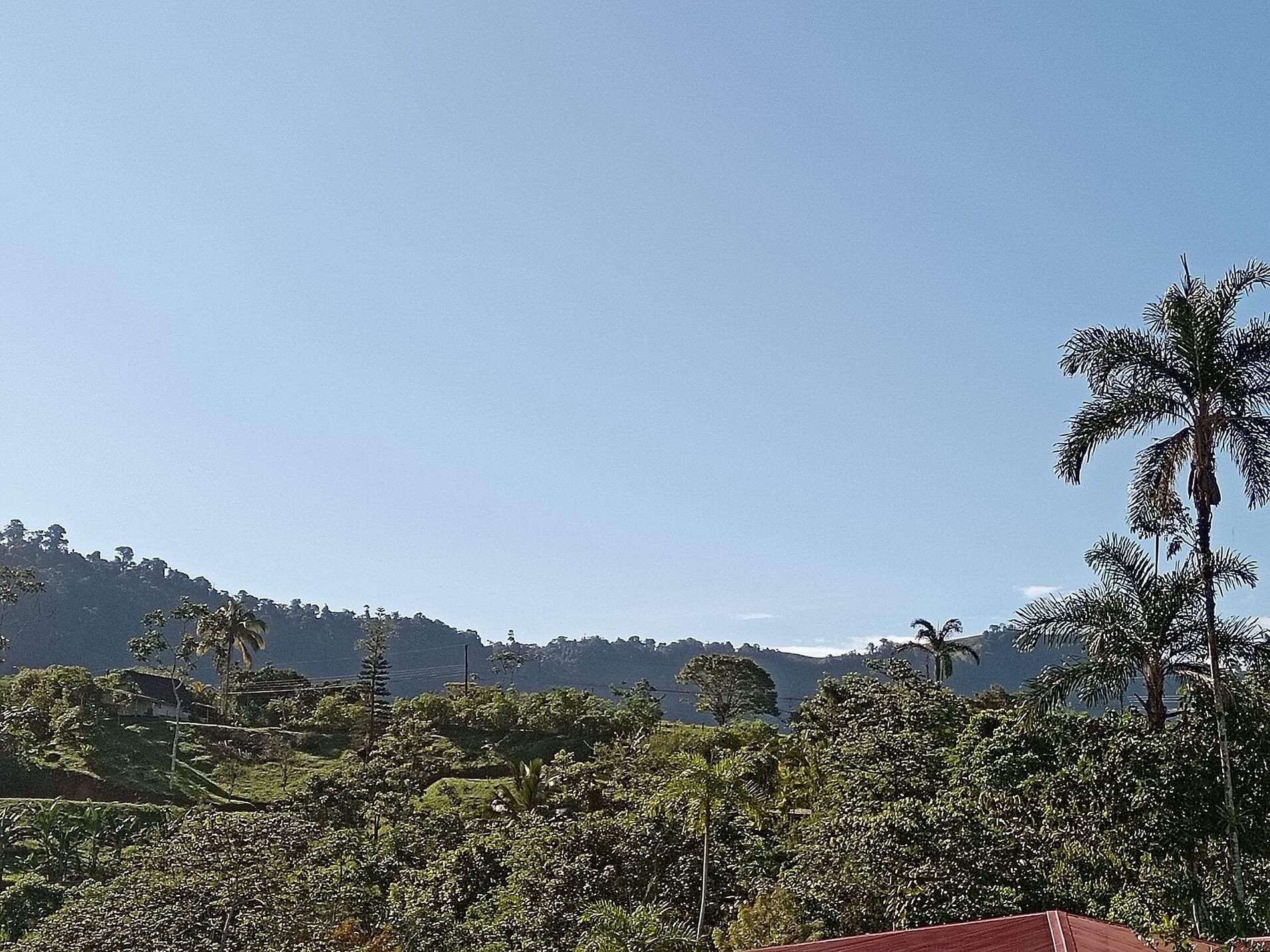 79Acre Farm In Tinamastes, Costa Rica