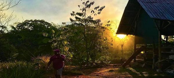 Permaculture in Costa Rica: Get Ready to Join the Movement