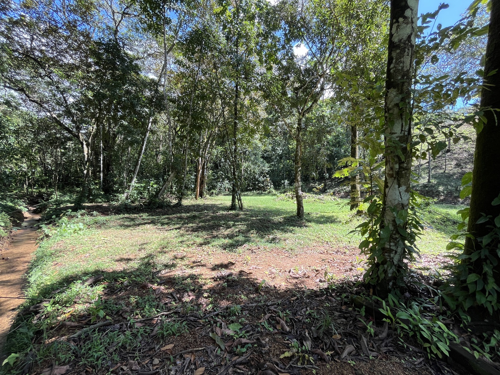 Flat Lot in Tortuga: Your Dream Project Awaits selected