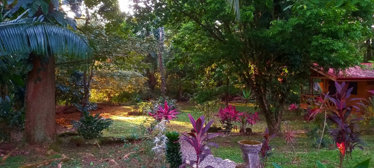 Income Producing Jungle Retreat with 8 Cabinas and Pool in the Heart of Uvita selected