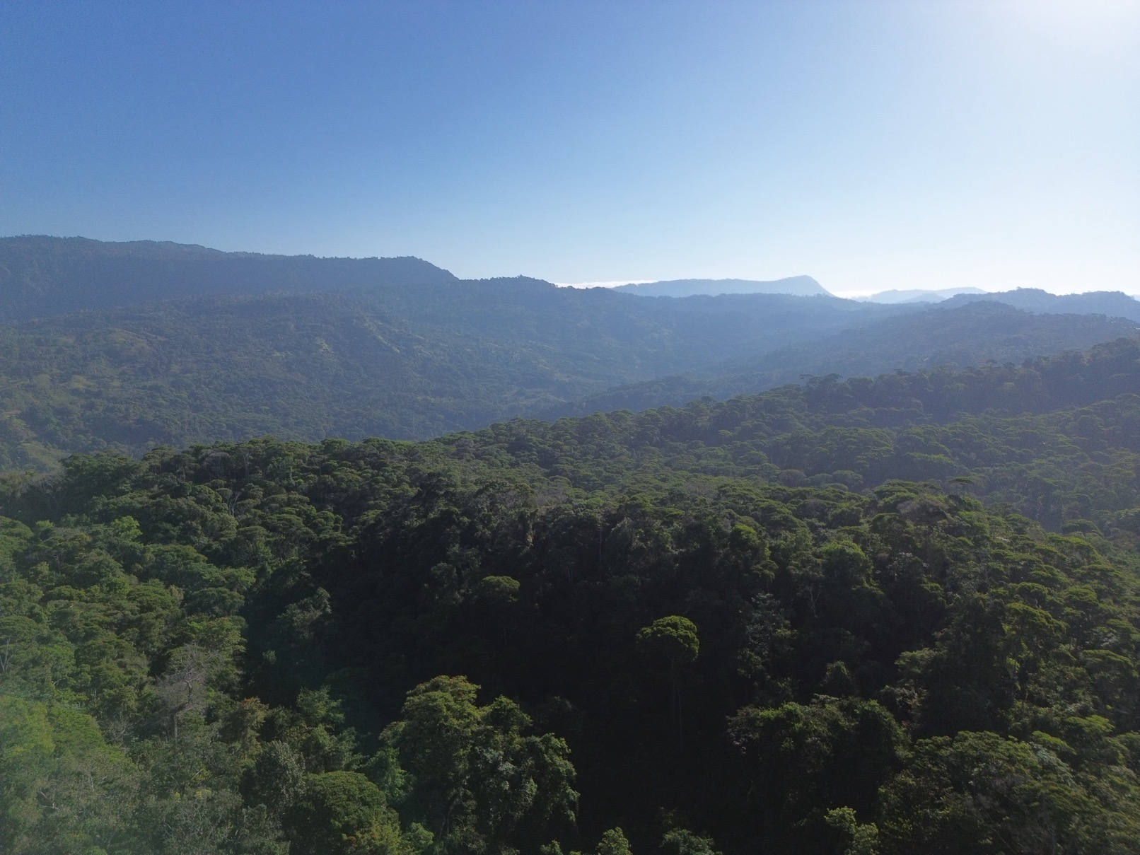 Expansive Escaleras Estate with Ocean Views, Jungle, and Development Potential selected