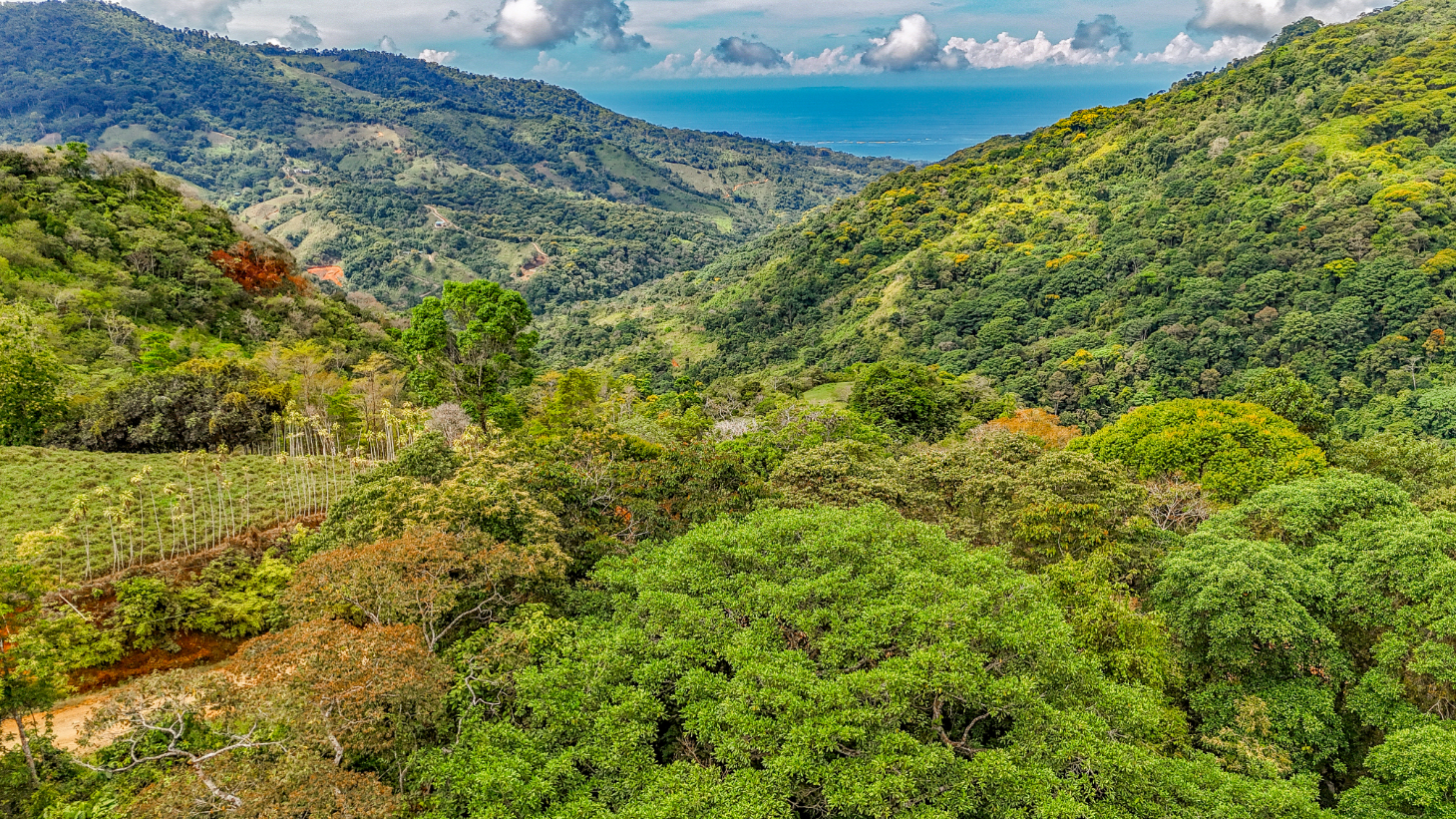 1.5 Acre Ocean & Mountain View Lot Near Uvita | Legal Water & Privacy selected