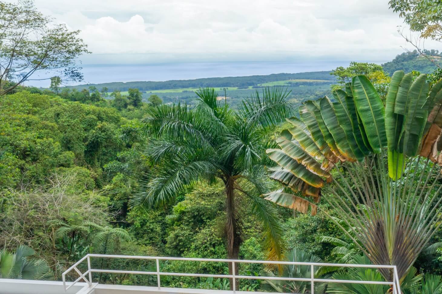 Ocean View Modern House in Gated Community selected