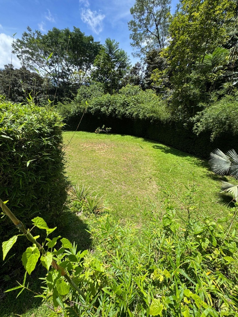 Prime Investment Opportunity in Ojochal with Expansion Potential selected