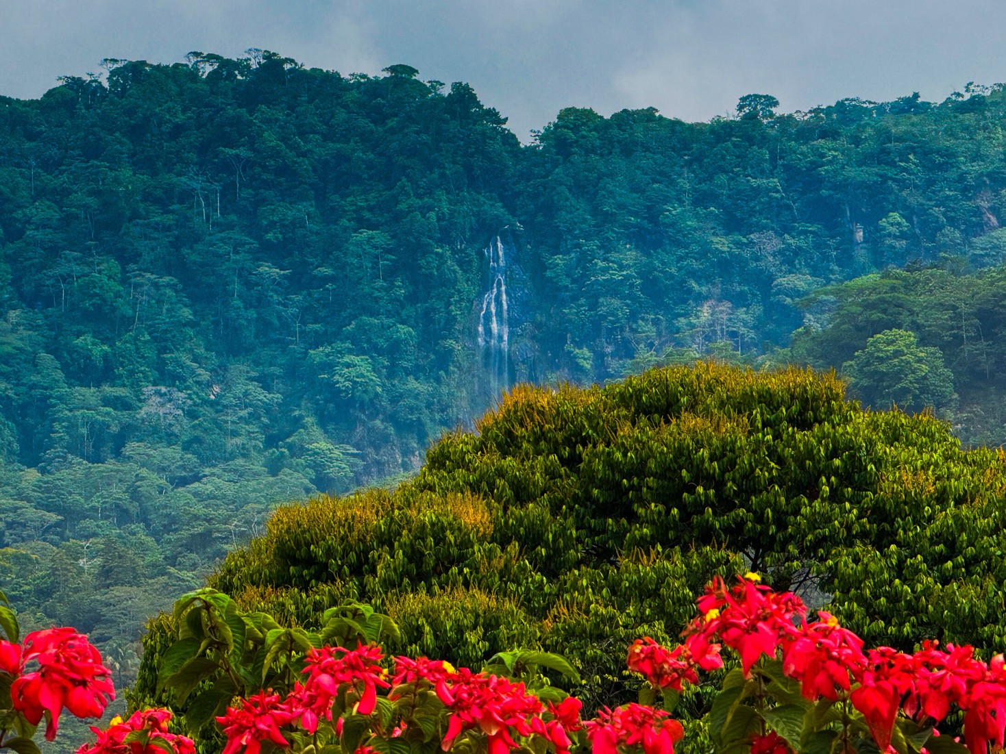 Ocean View Development Property with Waterfall Vista — 14.83 Acres in San Luis de Morete, Near Uvita selected