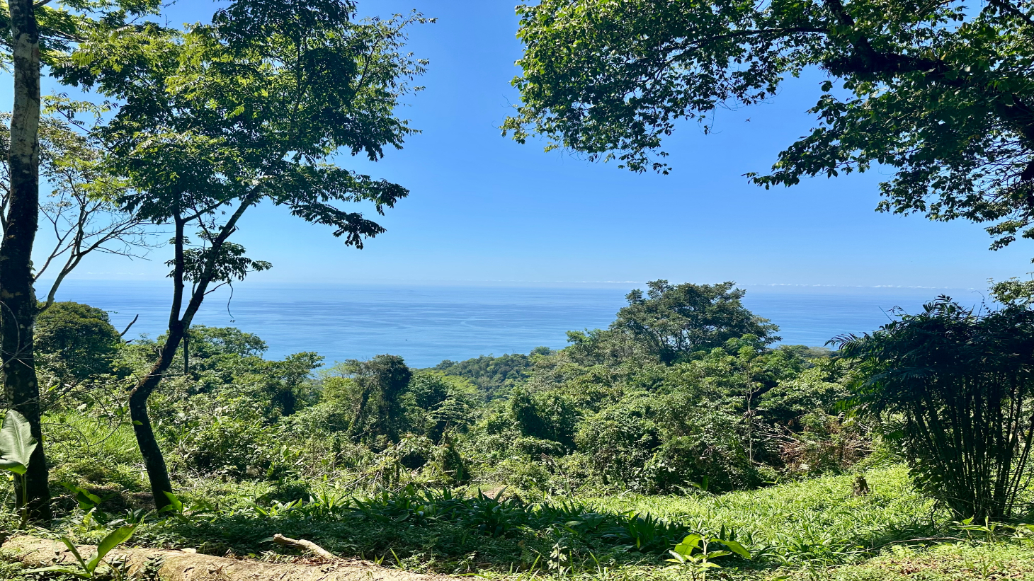 Exclusive 5.80 acres Ocean View Estate Lot in Costa Verde Estates – Escaleras selected
