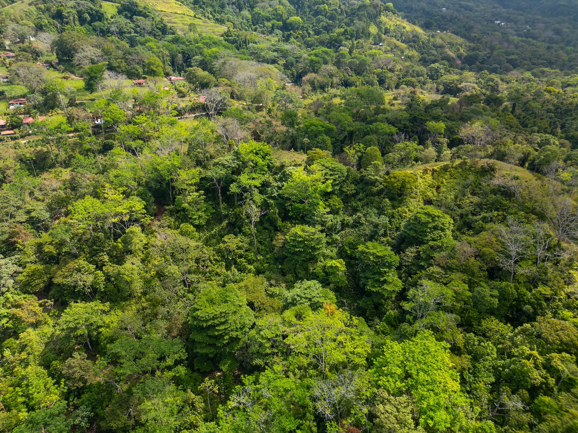 Lots at Caracara Ridge Development in Ojochal selected