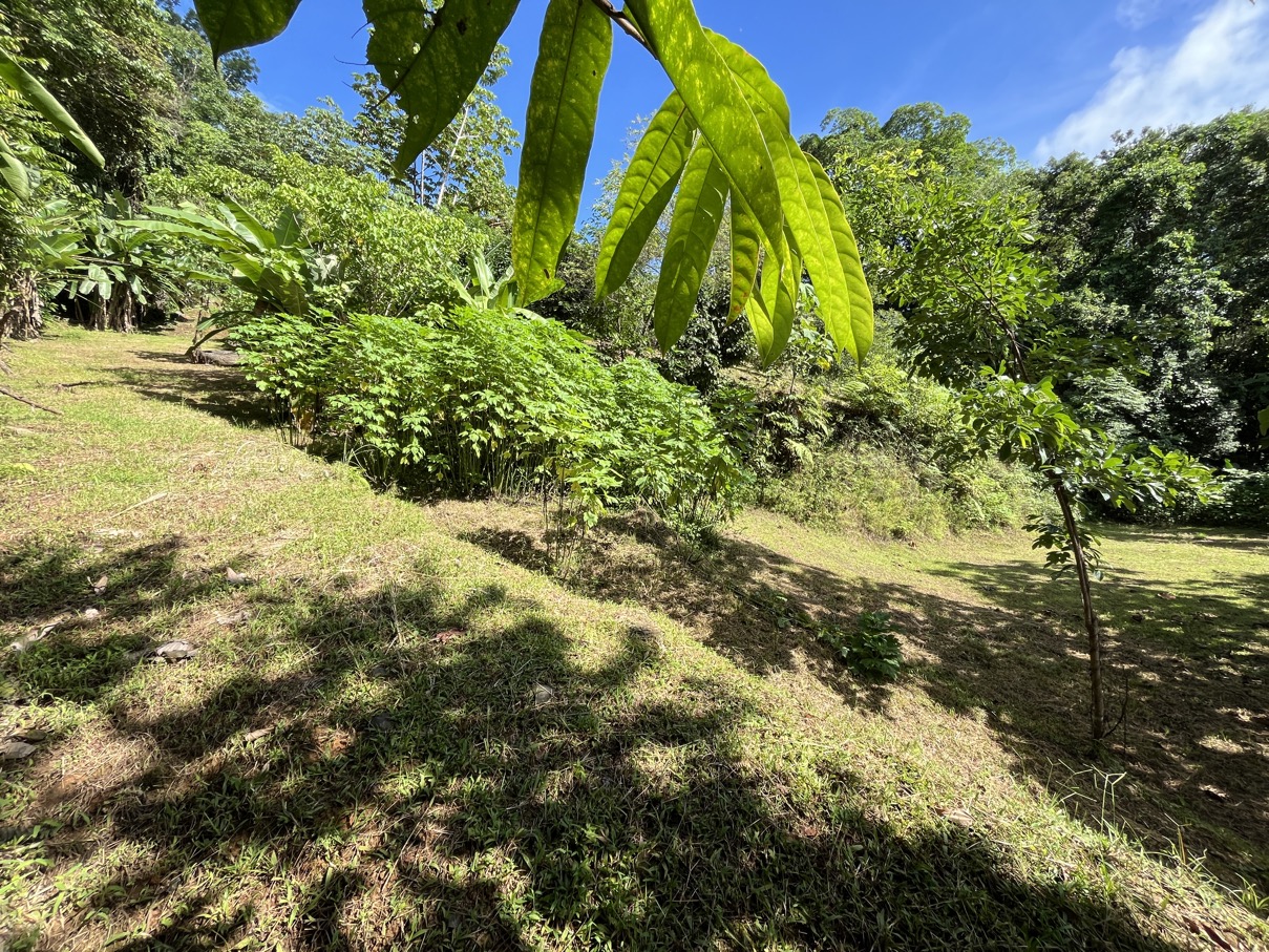 Charming Mountain Retreat in Vergel de Osa – Minutes from Ojochal, Beaches, and Waterfalls selected