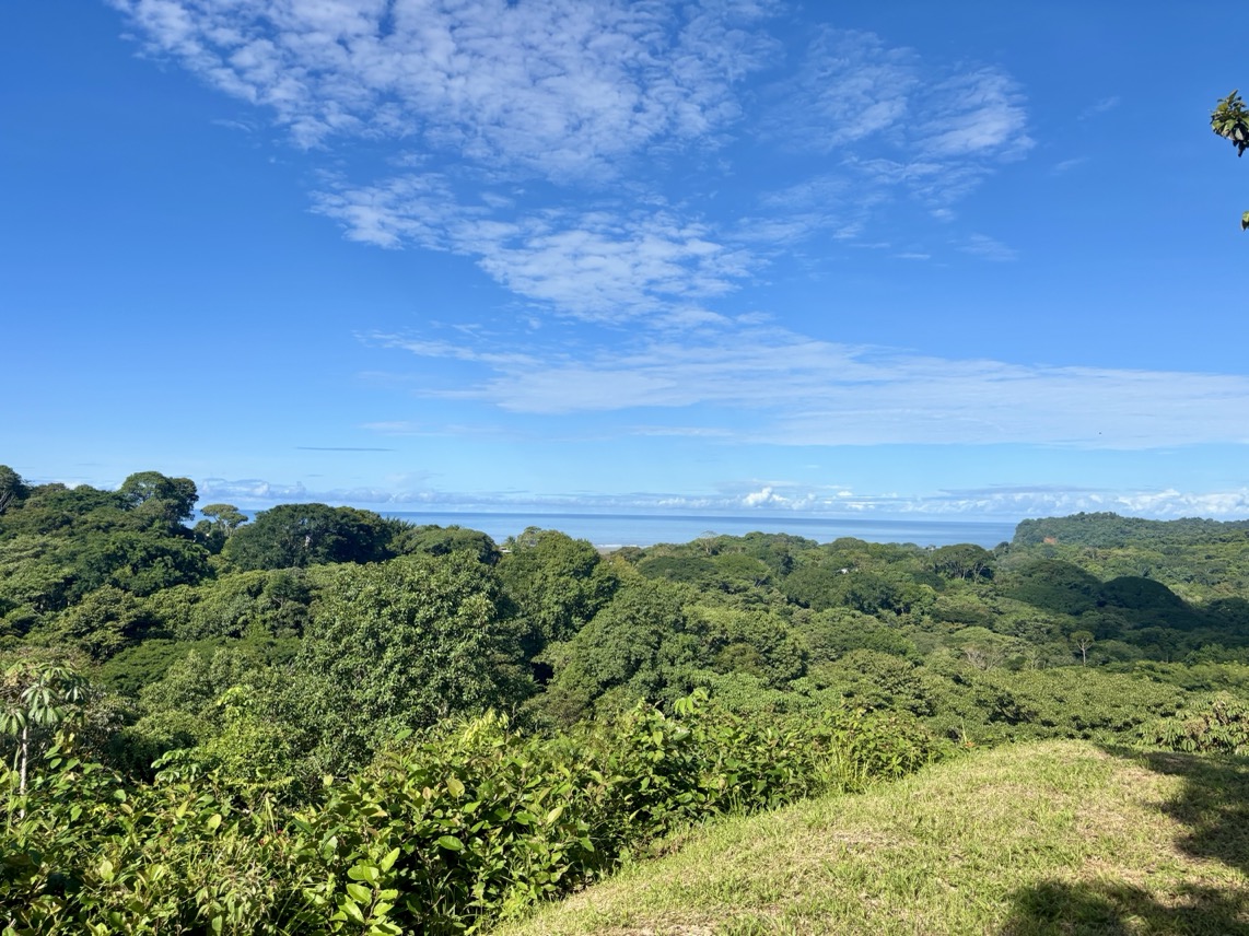 Two Ocean View Properties in Ojochal – 5.33 Acres of Pure Paradise selected