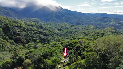 Charming Mountain Retreat in Vergel de Osa – Minutes from Ojochal, Beaches, and Waterfalls image 3