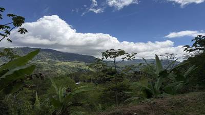 Jungle Lot with Multiple Building Sites, Legal Water, Electricity on Public Road with Big Valley & Mountain Views near San Josecito Costa Rica image 3