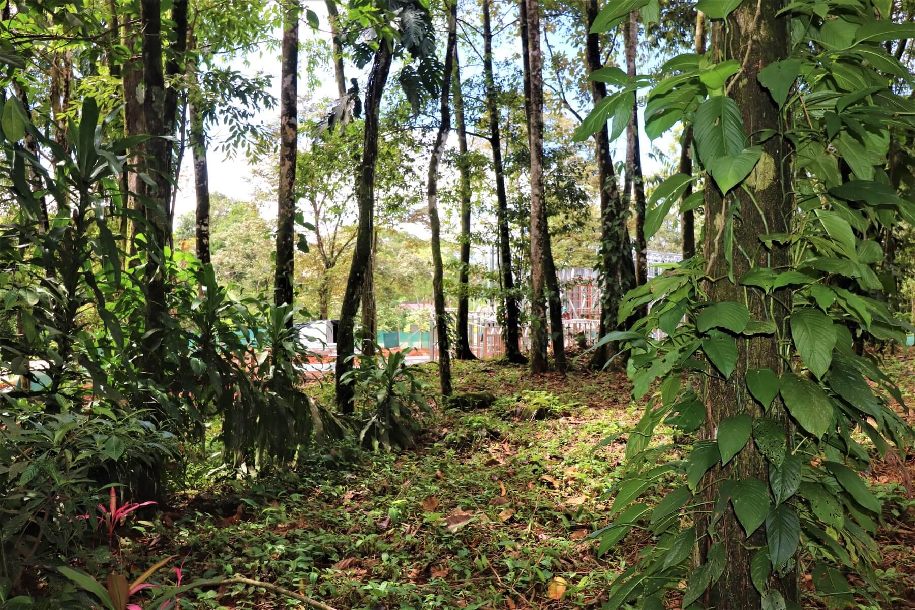 Prime Commercial Property In Uvita selected