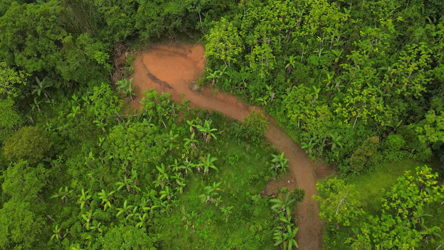 Mountain View Land with Several Building Sites and Mature Fruit Trees selected